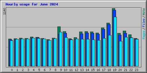 Hourly usage for June 2024