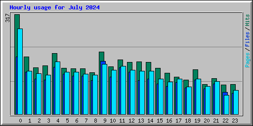 Hourly usage for July 2024