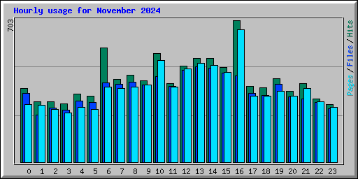 Hourly usage for November 2024