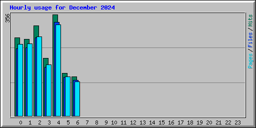 Hourly usage for December 2024